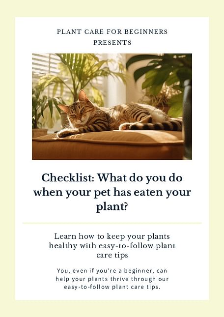Checklist: What do you do when your pet has eaten your plant?