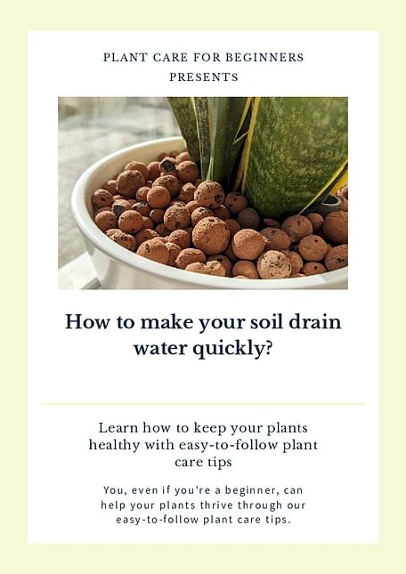 How to make your soil drain water quickly?