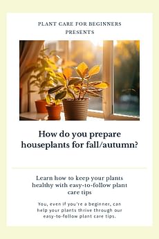 How do you prepare houseplants for fall/autumn?