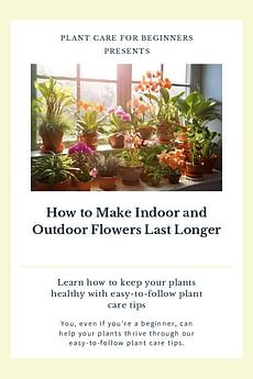 How to Make Indoor and Outdoor Flowers Last Longer