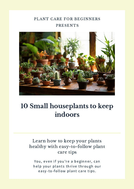 10 Small houseplants to keep indoors