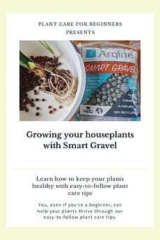 Growing your houseplants with Smart Gravel