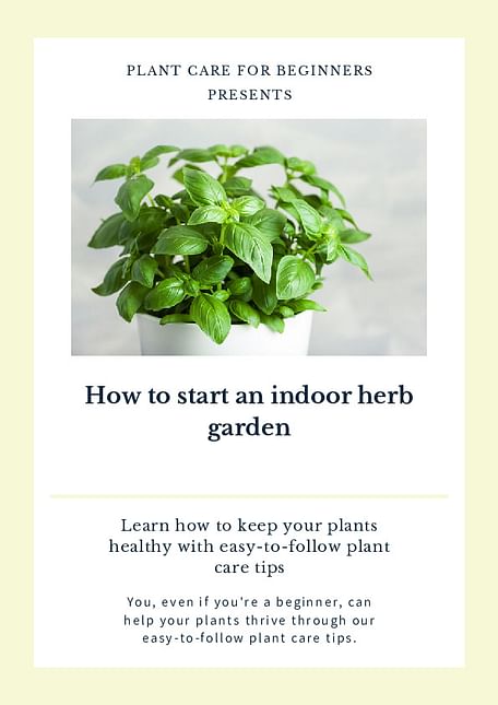 How to start an indoor herb garden
