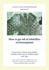 How to get rid of whiteflies on houseplants