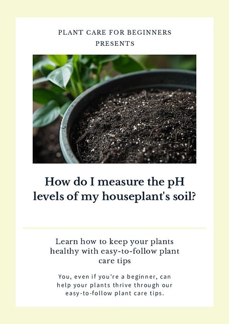 How do I measure the pH levels of my houseplant's soil?