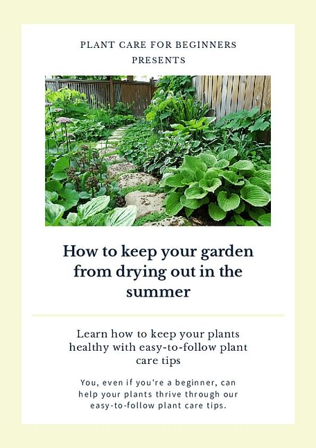 How to keep your garden from drying out in the summer