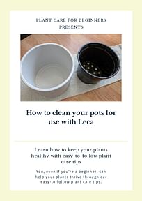 How to clean your pots for use with Leca