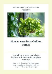 How to care for a Golden Pothos