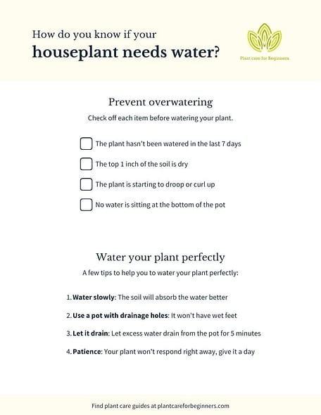 Checklist: How do you know if your houseplant needs water?