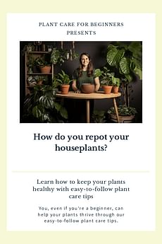 How do you repot your houseplants?