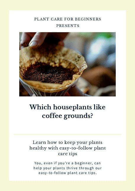 Which houseplants like coffee grounds?