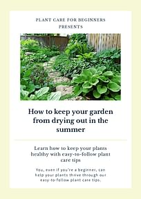 How to keep your garden from drying out in the summer
