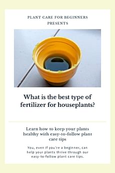 What is the best type of fertilizer for houseplants?