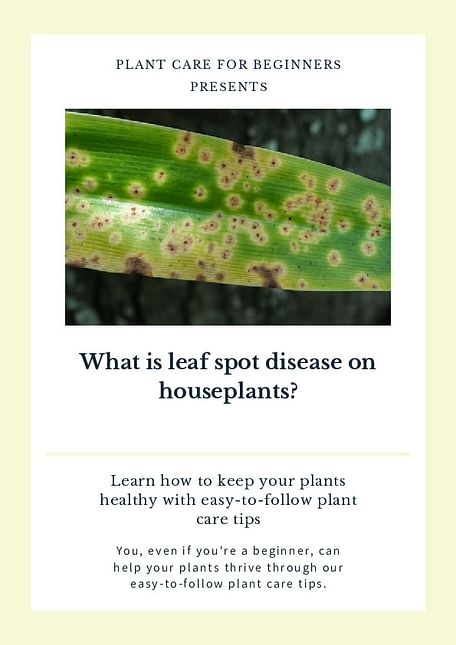 What is leaf spot disease on houseplants?