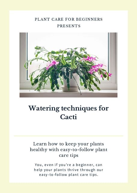 Watering techniques for Cacti