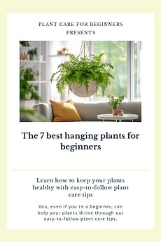 The 7 best hanging plants for beginners