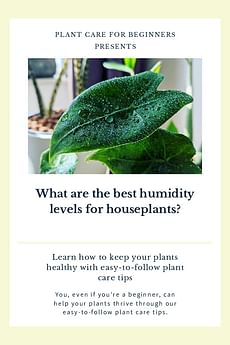 What are the best humidity levels for houseplants?