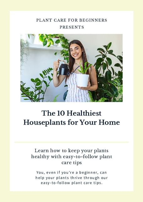 The 10 Healthiest Houseplants for Your Home