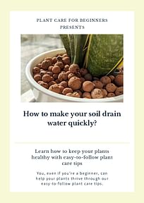 How to make your soil drain water quickly?