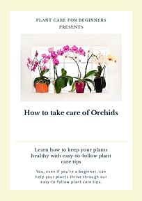 How to take care of Orchids