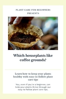 Which houseplants like coffee grounds?