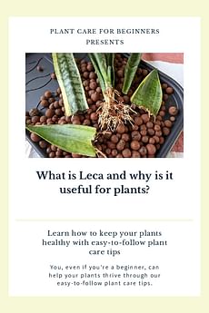What is Leca and why is it useful for plants?