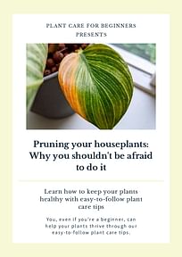 Pruning your houseplants: Why you shouldn't be afraid to do it