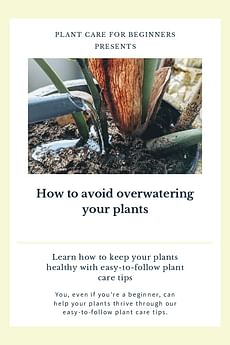 How to avoid overwatering your plants