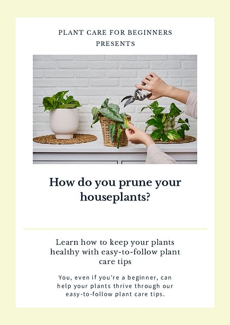 How do you prune your houseplants?