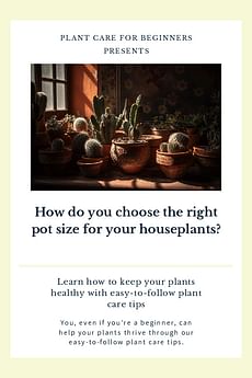 How do you choose the right pot size for your houseplants?