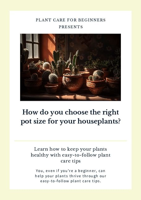 How do you choose the right pot size for your houseplants?