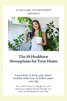 The 10 Healthiest Houseplants for Your Home