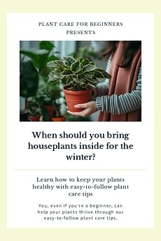 When should you bring houseplants inside for the winter?
