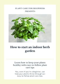 How to start an indoor herb garden