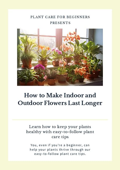 How to Make Indoor and Outdoor Flowers Last Longer