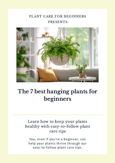 The 7 best hanging plants for beginners