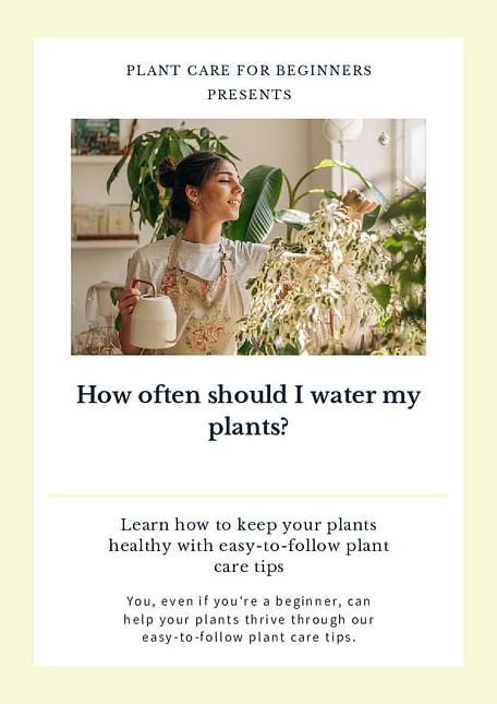 How often should I water my plants?