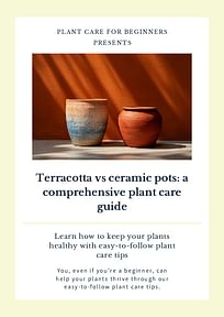 Terracotta vs ceramic pots: a comprehensive plant care guide