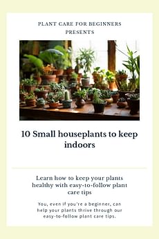 10 Small houseplants to keep indoors