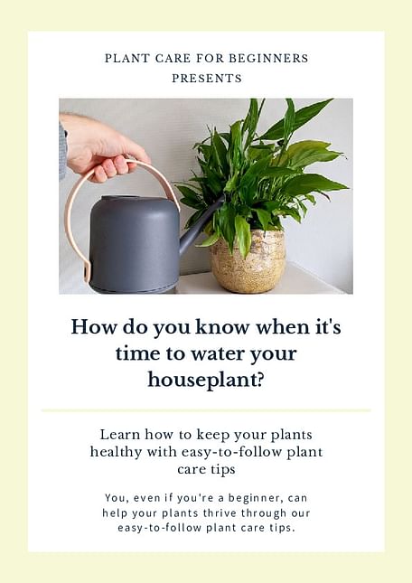 How do you know when it's time to water your houseplant?