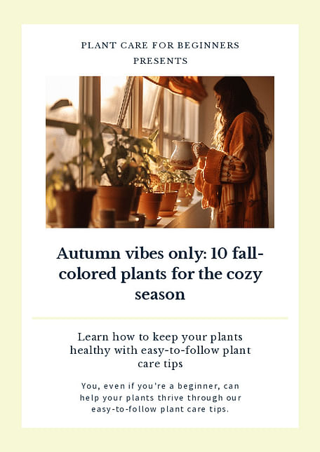 Autumn vibes only: 10 fall-colored houseplants for the cozy season
