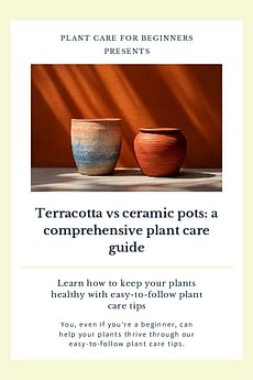 Terracotta vs ceramic pots: a comprehensive plant care guide