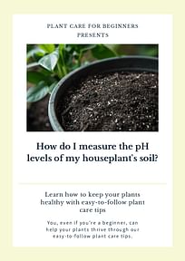 How do I measure the pH levels of my houseplant's soil?