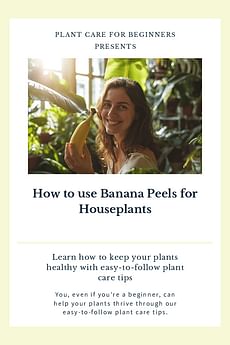 How to use Banana Peels for Houseplants