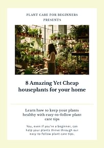 8 Amazing Yet Cheap houseplants for your home