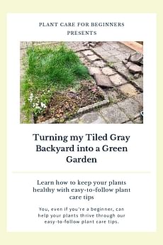 Turning my Tiled Gray Backyard into a Green Garden