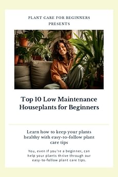 Top 10 Low Maintenance Houseplants for Beginners