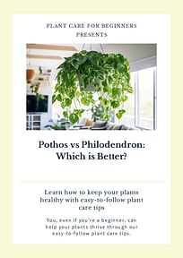 Pothos vs Philodendron: Which is Better?