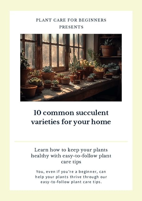 10 common succulent varieties for your home