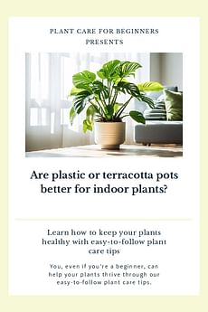 Are plastic or terracotta pots better for indoor plants?